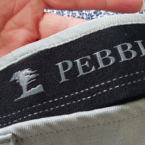 Size 38 Pebble Beach Dry Luxe Performance Mens Short Golf Athletic Gray - Picture 10 of 10